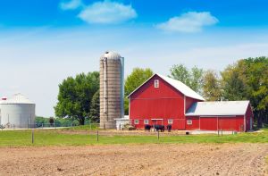 Rural farm